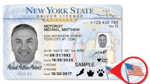 bus driver license requirements