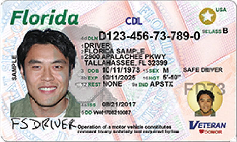 bus driver license requirements